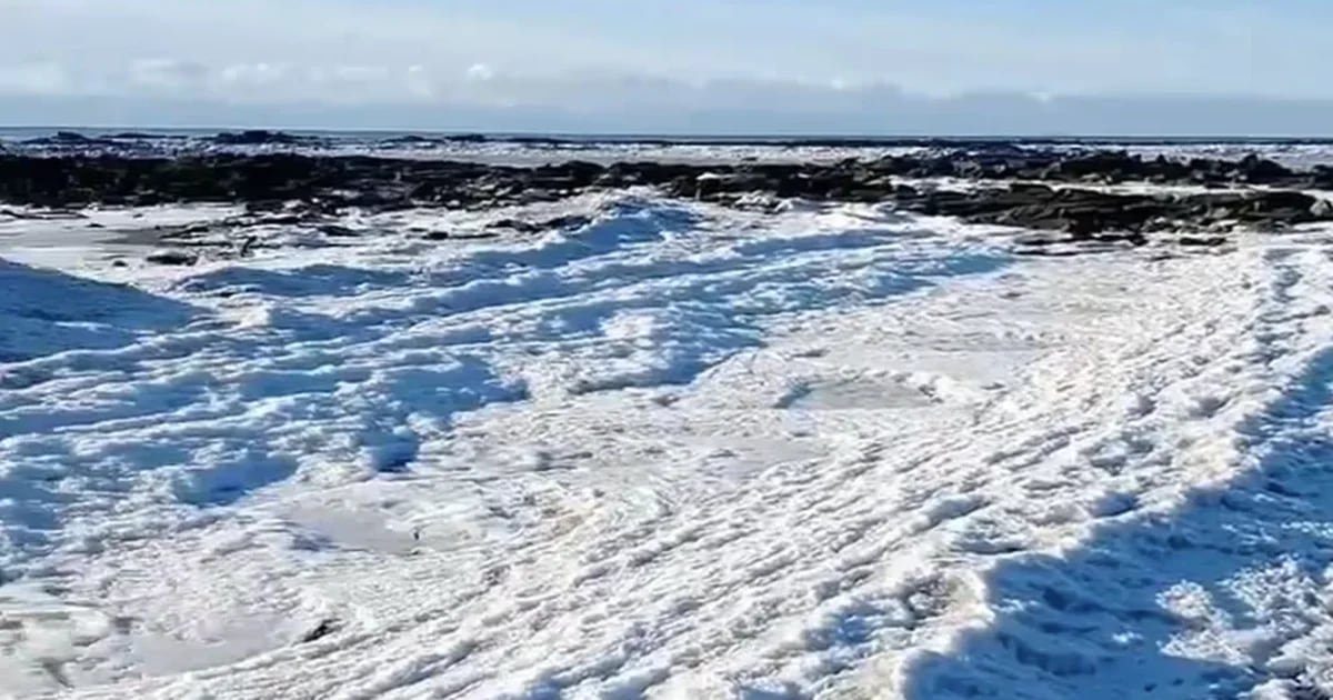 O mar congelou na Terra do Fogo?  Quais fatores geram o fenômeno
