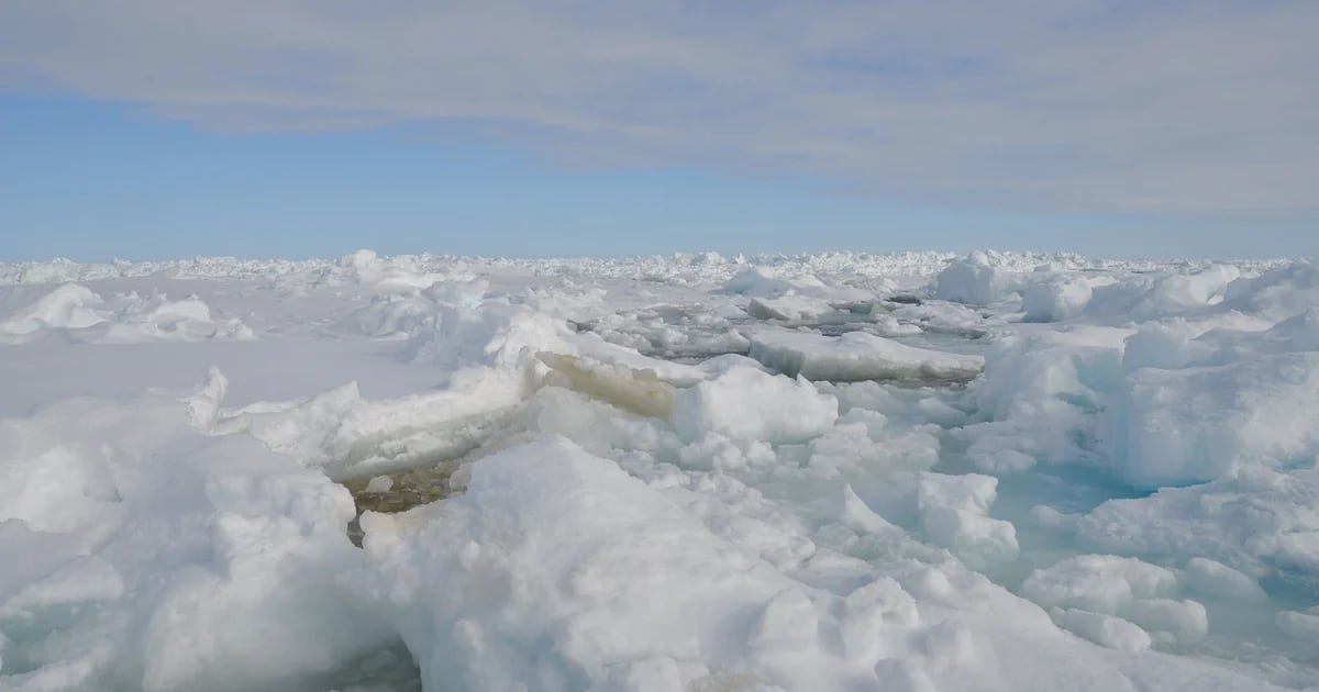 Poderá o Ártico tornar-se verde devido aos efeitos do aquecimento global?